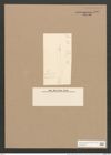 Pleurosigma acuminatum (Kuetz) Grun. (de-Toni-Nr.: Genus 13, Species 1075) Zeichnungen Sammlung Grunow Nr. 1949 (NHMW-BOT-W0369088)